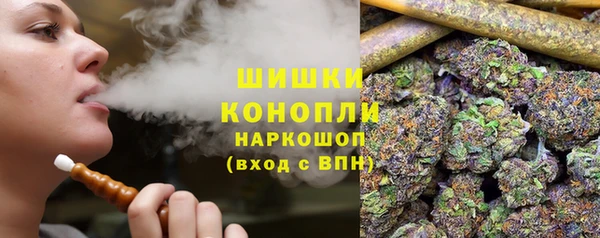 ГАЛЛЮЦИНОГЕННЫЕ ГРИБЫ Белоозёрский